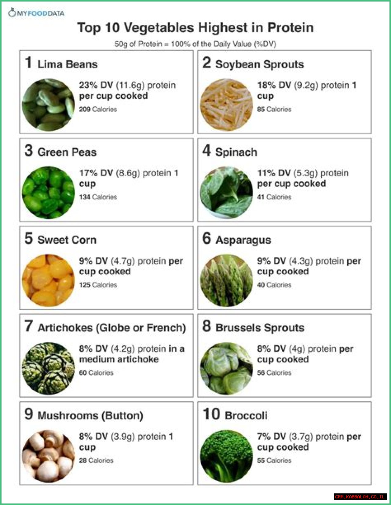 Top 10 List With Pictures